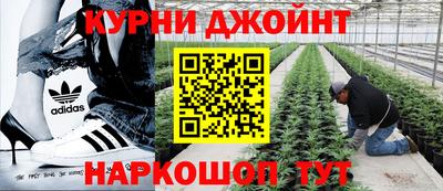 прущие грибы Бузулук