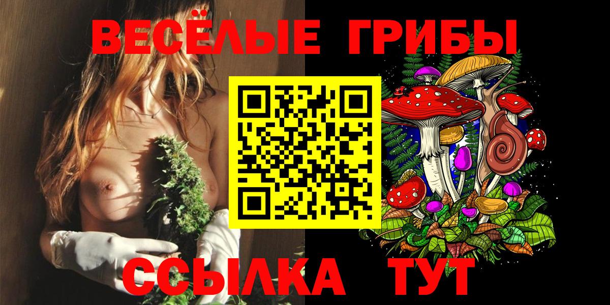 Галлюциногенные грибы прущие грибы  Вход с VPN  Лесозаводск 
